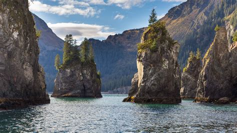 The Best Kenai Fjords National Park Day Trips 2022 Free Cancellation