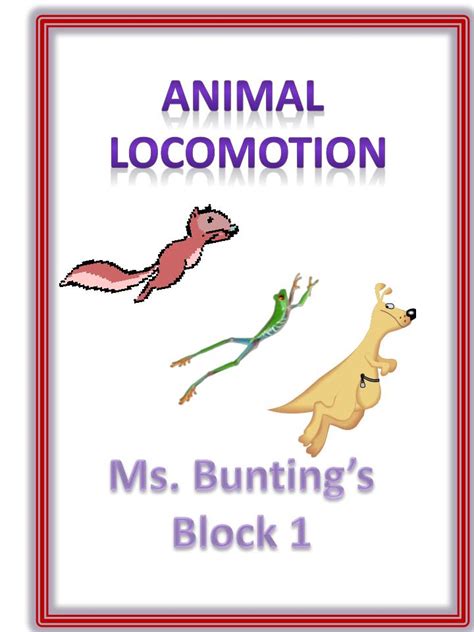 Locomotion In Animals Ppt Animephrasesolutions