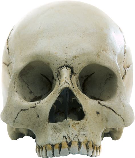 Skull PNG
