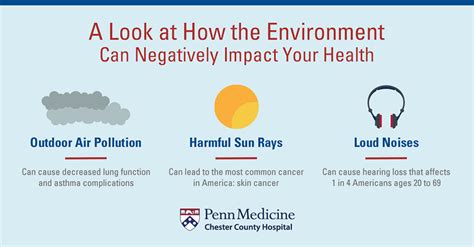 3 Environmental Factors That Can Impact Your Health Chester County