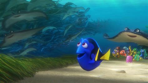 Finding Nemo Dory Do Ya