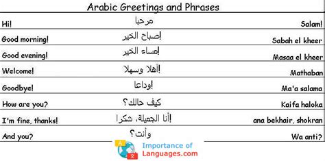learn the arabic language learn the basic arabic language