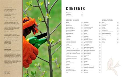 Pruning Simplified A Step By Step Guide To 50 Popular Trees And Shrubs