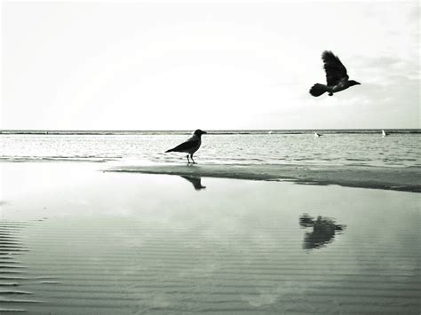 11 composition tips for taking great photos with your iPhone