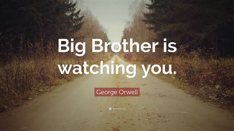 Quotes About Big Brothers