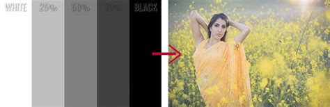 Photoshop Blending Modes The Ultimate Visual Guide Photoshop