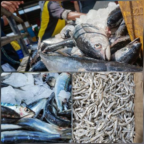 5 Jenis Ikan Laut yang Sering Dikonsumsi Sehari-hari, Mana Favoritmu