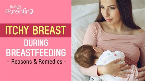 Itchy Breasts During Breastfeeding Reasons And Remedies Youtube