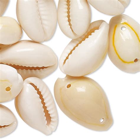 Bead Cowrie Shell Natural 15x7mm 25x12mm Double Drilled Mohs
