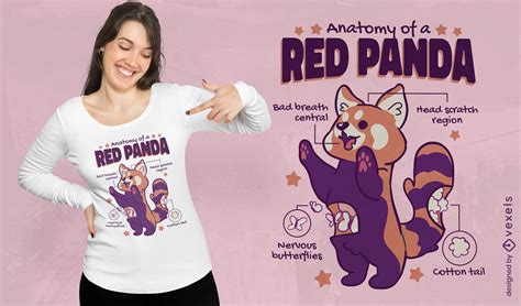 Red Panda Anatomy T-shirt Design Vector Download