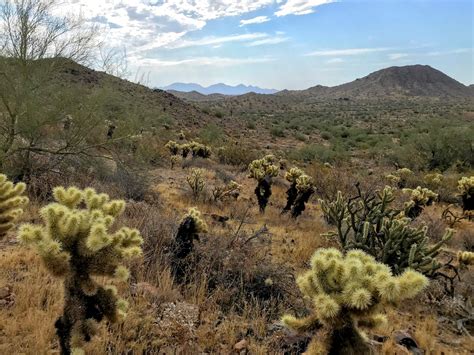 Desert Vista Trailhead Hikes Phoenix Sonoran Preserve Get Outdoors