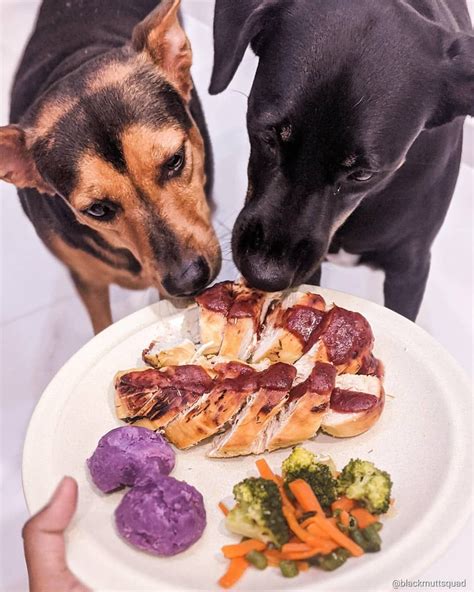446 likes · 1 talking about this. Top 3 Reasons to Start Feeding Your Dog Homecooked Meals # ...