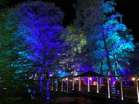Pitlochrys Enchanted Forest 2022