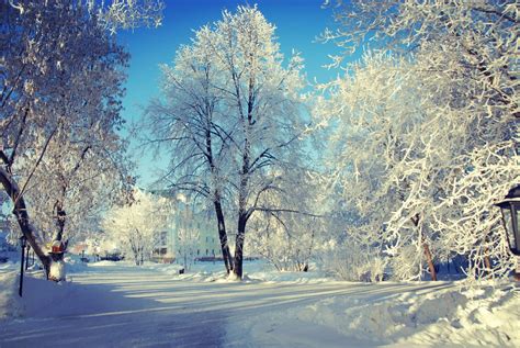 Картинки зимний пейзаж (100 фото) • Прикольные картинки и позитив