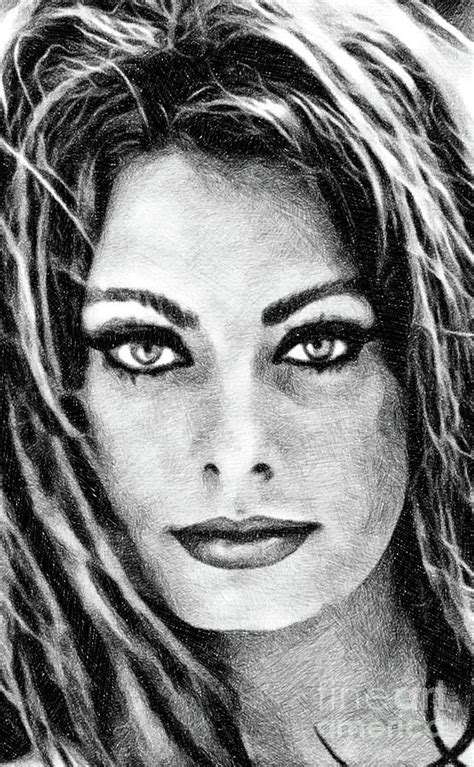 sophia drawing sophia loren vintage actress by js by john springfield hollywood art old