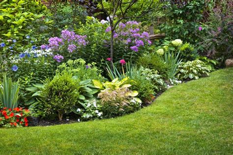 Zone 6 Growing Tips What Are The Best Plants For Zone 6 Garden