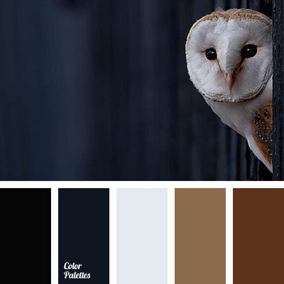 All of our images are beautiful. gray dark blue - Tag | Page 2 of 3 | Color Palette Ideas
