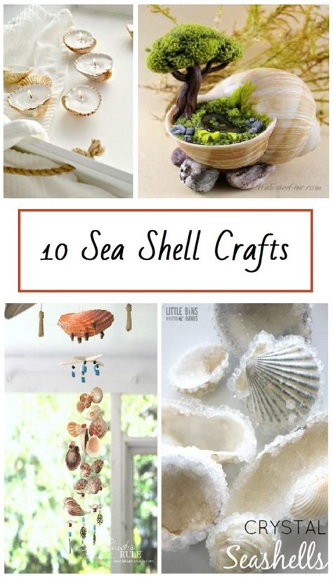 10 Things To Do With Seashells Hollies Hobbybox
