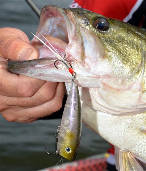 Pro Tips On Fishing Topwater Baits For Bass Game And Fish