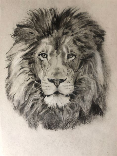 How To Draw A Lion Art For Kids Hub