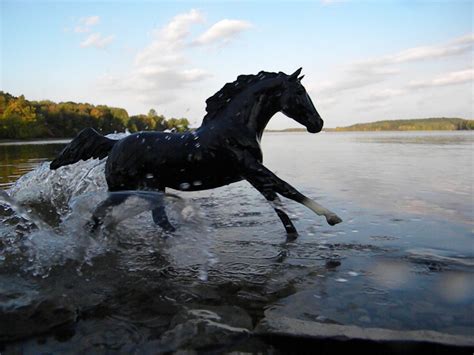 I dreamed of black horses - Swordwhale Walking: illustration, webcomic