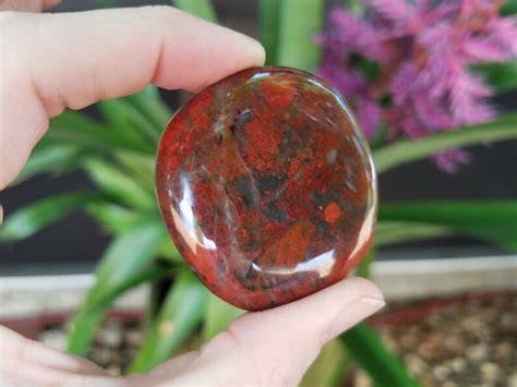 15 225 Smooth Red Jasper Palm Stone Includes Many Etsy