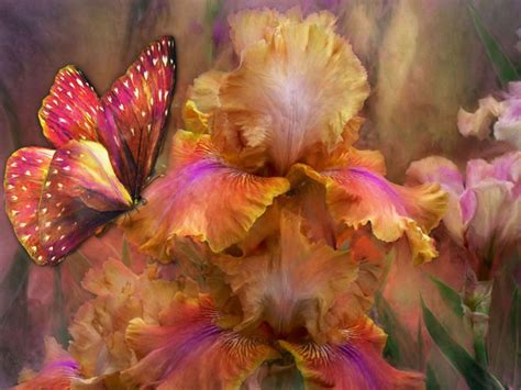 Most Beautiful Nature Wallpaper Flowers Wallpapersafari