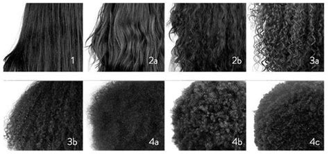 Oval or asymmetrical follicles give rise to curlier hair. Is Hair Typing Worth The Hype? - Zeda Magazine