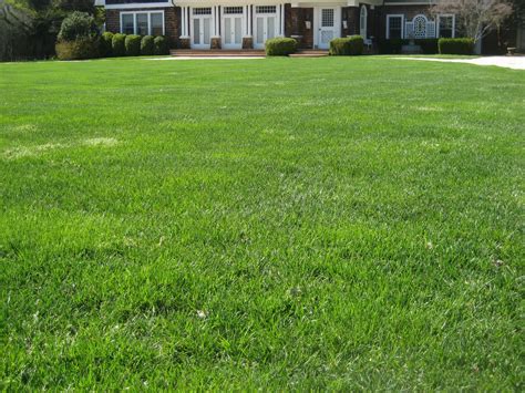 Check spelling or type a new query. Prepare Your Lawn for Spring | LawnEQ Blog