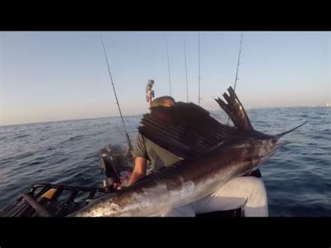 Pesca Letal Serruchos Aguja Y Tiburon YouTube