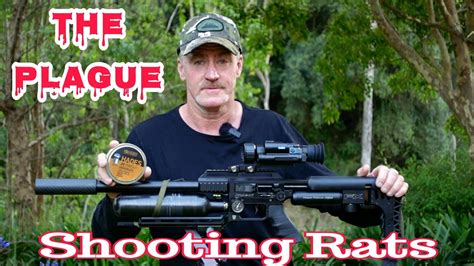 Shooting Rats ︎300 Down ︎22 Air Rifle Youtube