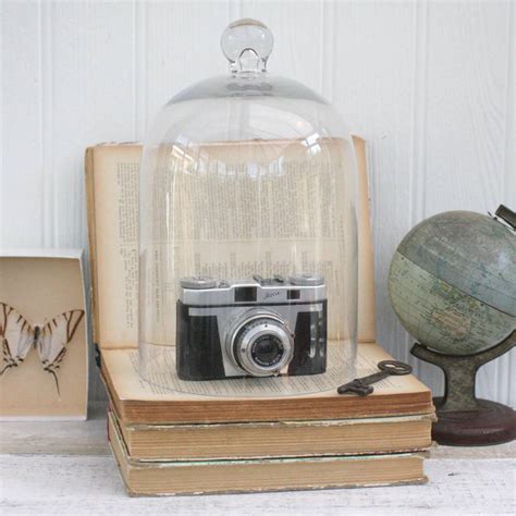 Glass Display Cloche By Magpie Living