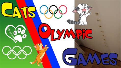 Cats Olympic Games Youtube