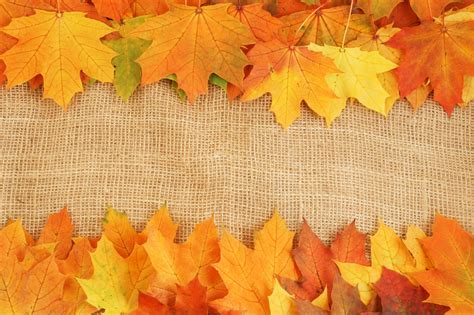 Fall Leaves Background 43 Images