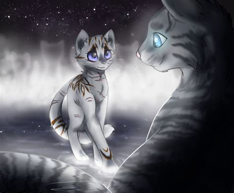 At Dreamfeathers Medicine Cat Ceremony By Doekitty On Deviantart
