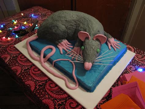 Rat Cake In 2022 Pretty Birthday Cakes Cake Crazy Cakes