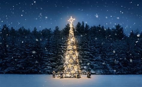 Christmas Tree At Night Stock Photo Download Image Now Istock