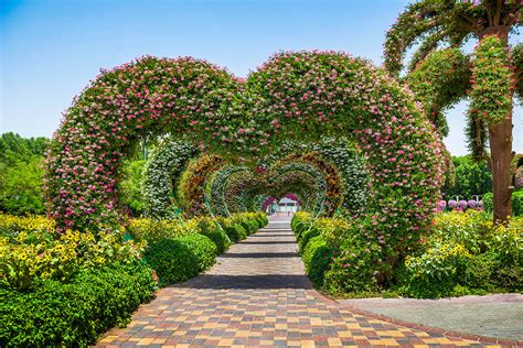 Dubai Miracle Garden Tickets And Attractions To The Worlds Largest