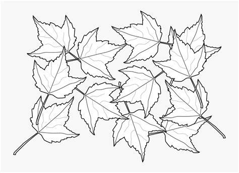 Fall Leaves Clip Art Free Printable