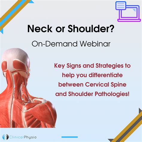 Neck Or Shoulder On Demand Webinar Clinical Physio