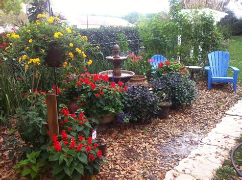 Butterfly vines can provide visual appeal, and even serve as a garden centerpiece when you find one with spectacular leaves or butterfly flowers. April Showers Bring...May Flowers! | Massey Services, Inc ...