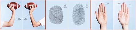 Science Of Gaydar Finger Length Fingerprint And Sexual Orientation