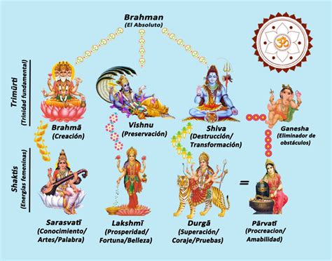 Trimurtiesquema Deidades Hindúes Dioses Hindues Dioses Budistas