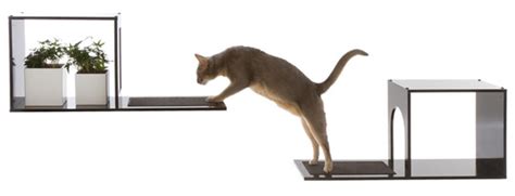 Cats love to climb, jump, leap, and perch high up! Modern Cat Tree and Climbing Shelves from Designer Pet ...
