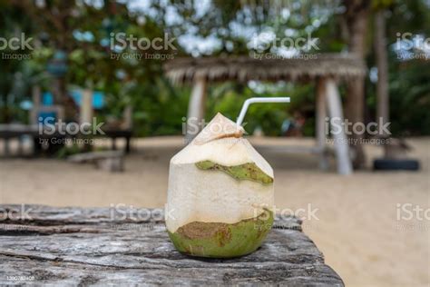Coconut Tropical Fruit On The Beach In Island Koh Phangan Near Sea