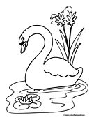 Maybe you would like to learn more about one of these? Download Whooper Swan coloring for free - Designlooter ...