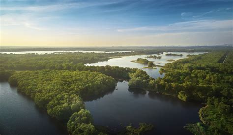 The new south wales government's sydney metro program is the biggest public transport project in australia. Gamuda Land launches 'Nature Sanctuary, Future City ...