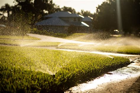 How Much Does It Cost To Install An Irrigation System At