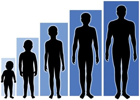 Can we grow taller after puberty? How to increase your height - Quora