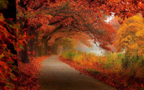 Fall Scenery Desktop Backgrounds HD | PixelsTalk.Net